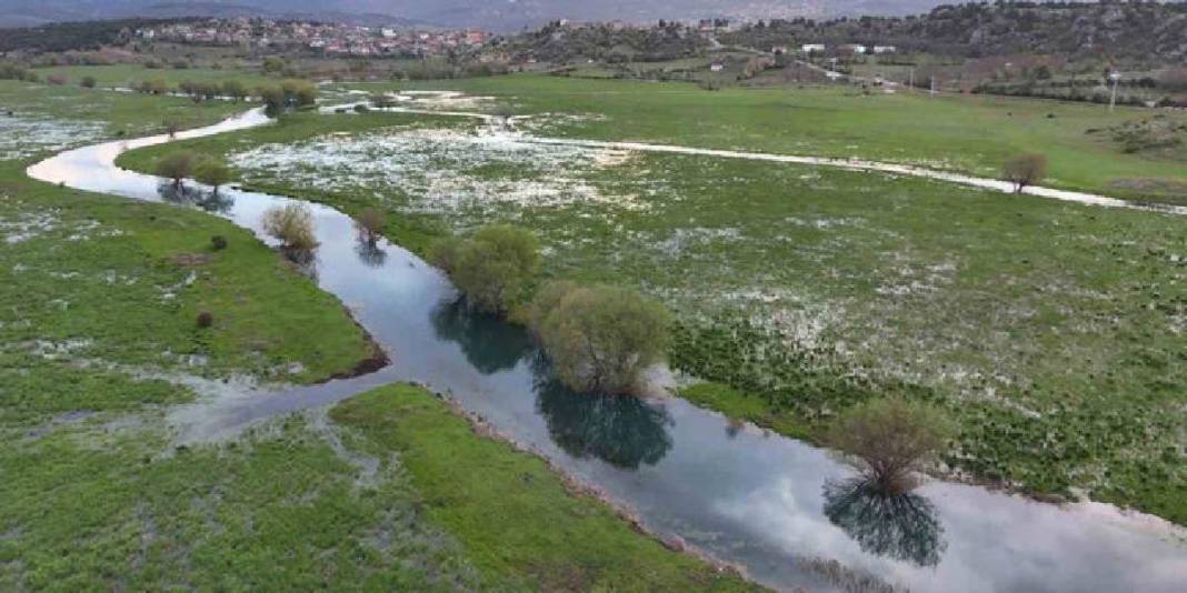Tablo değil burası Konya: Baharla birlikte leyleklerin durağı yeşile büründü 2